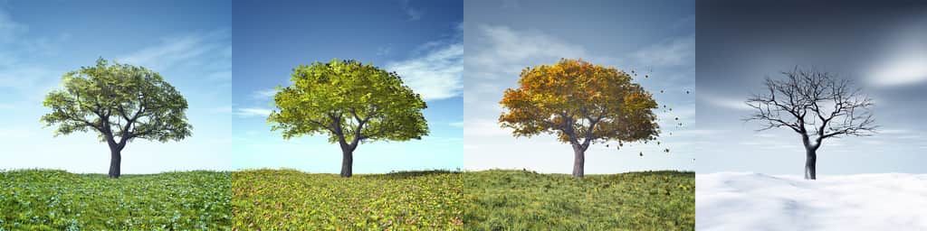 seasons
