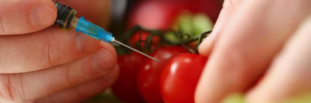 GMOs