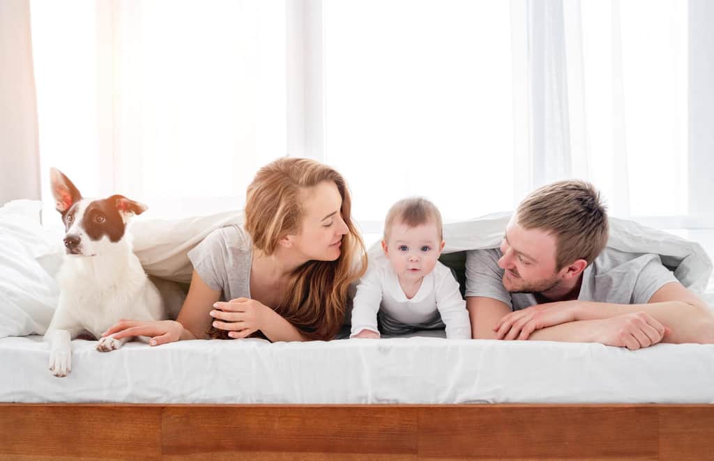 Mattress protector