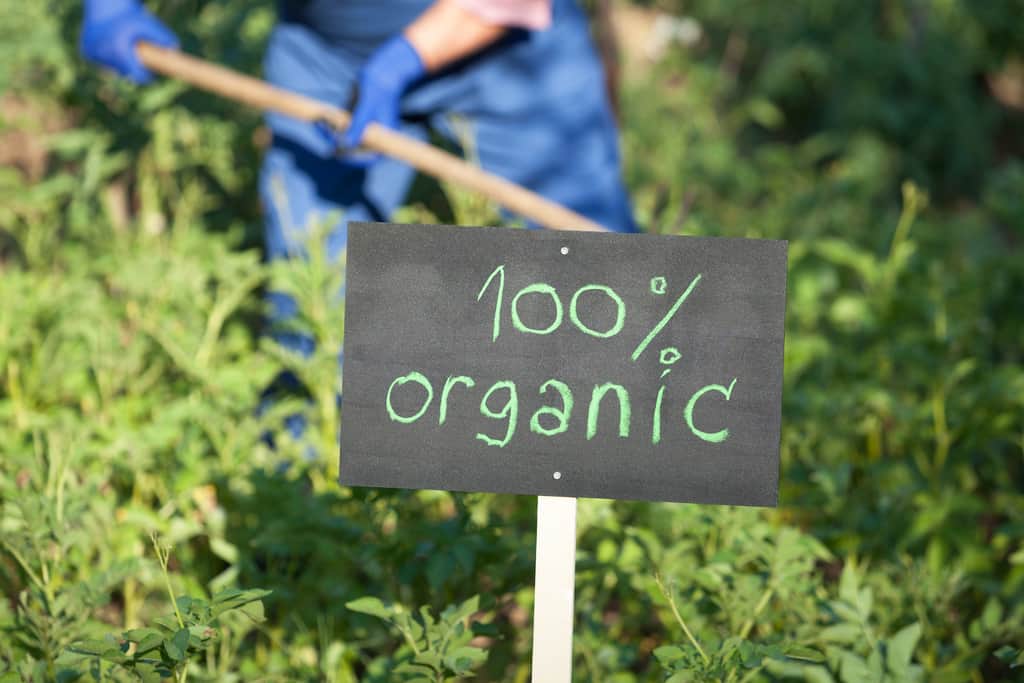 organic certification