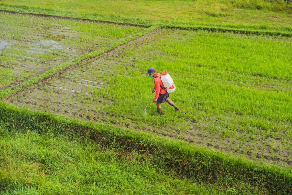 pesticides