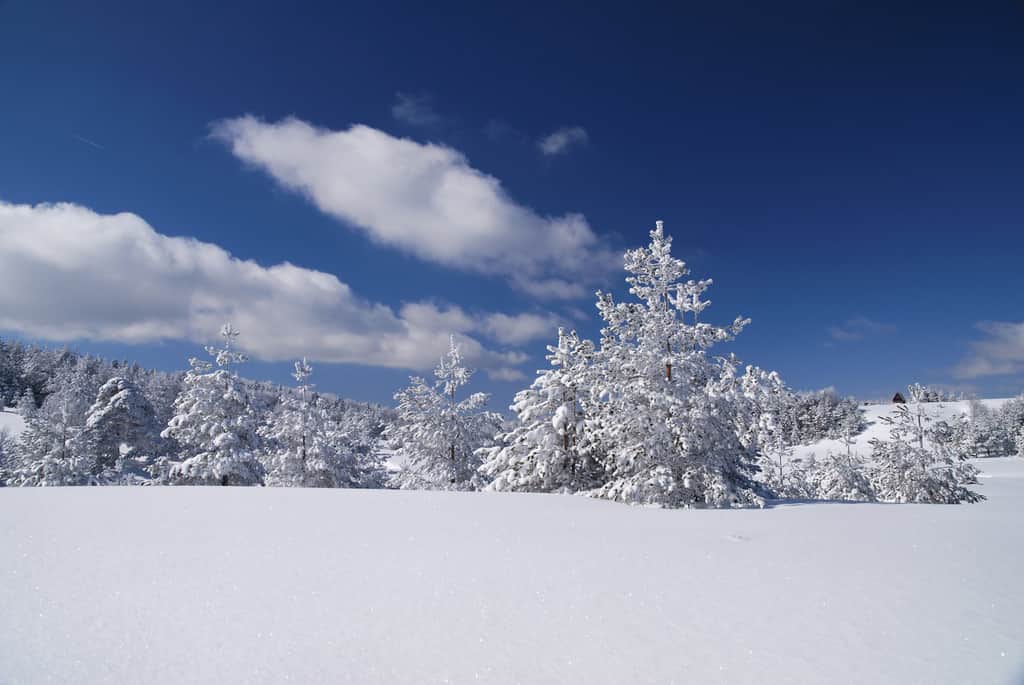winter