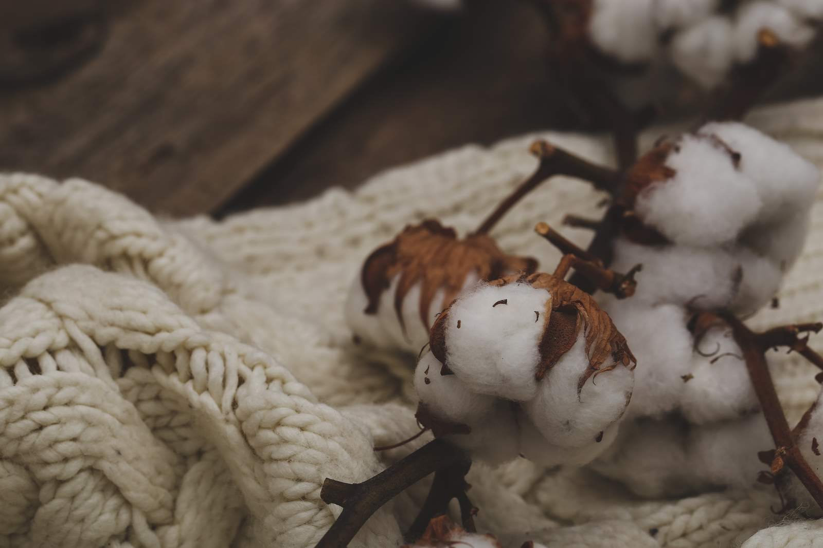 Cotton