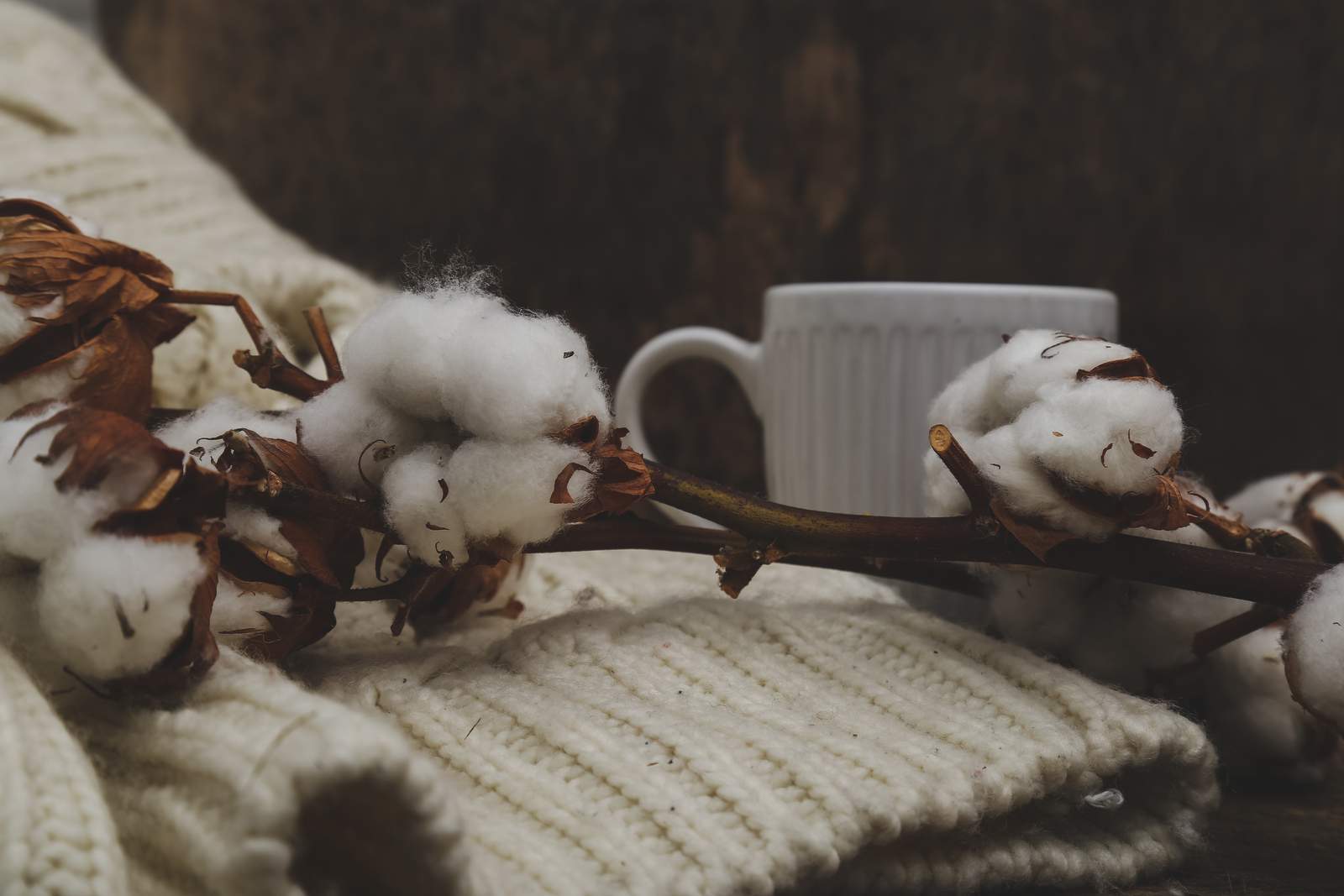 Cotton