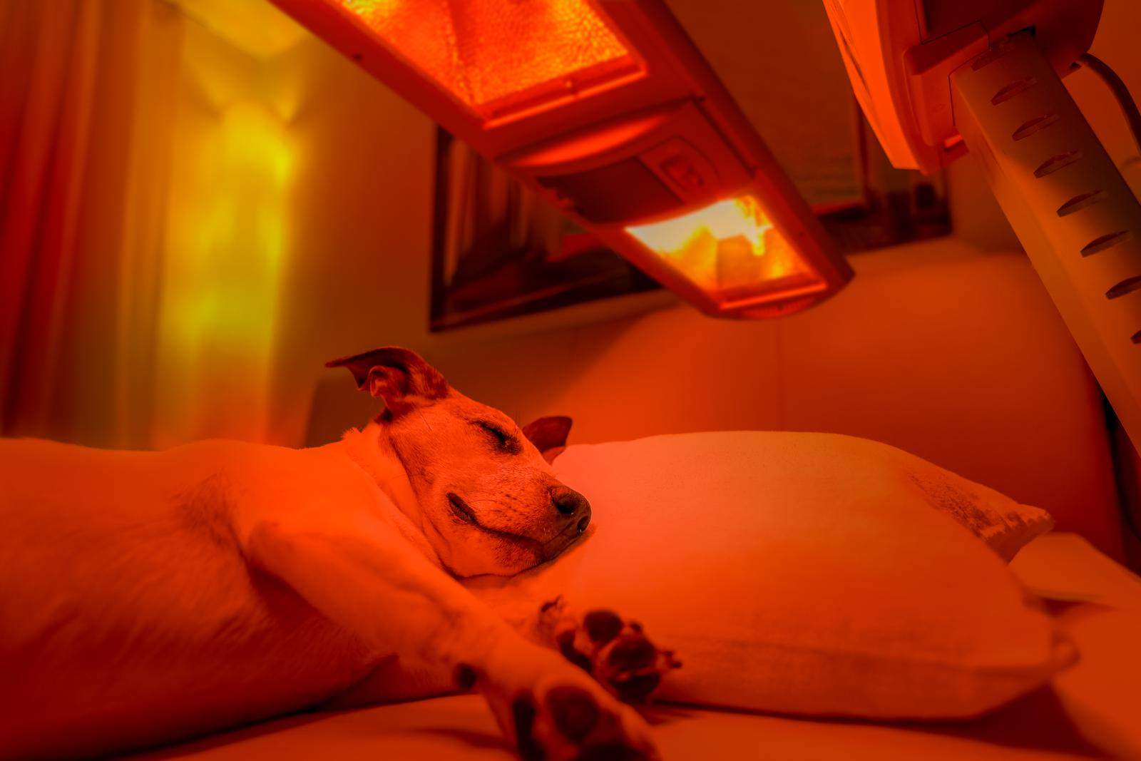 light therapy