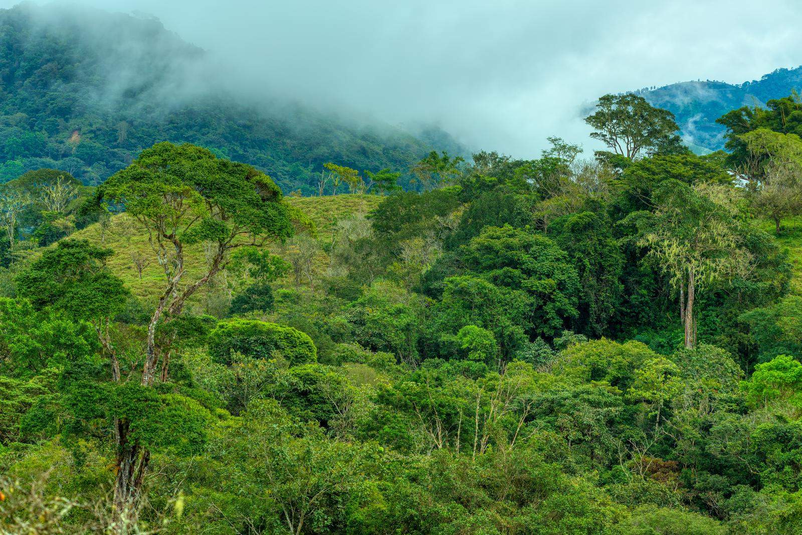 biodiversity