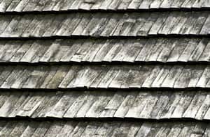 Shingle
