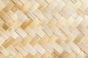 bamboo
