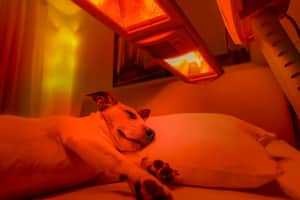 light therapy