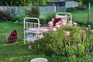 country bed