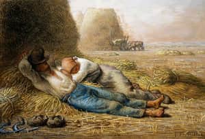 Noonday Rest