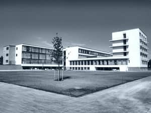 bauhaus