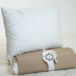 Natural Wool Pillows