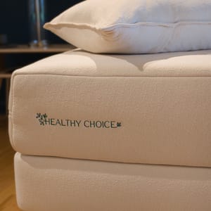 Healthy Choice Organic Wool Pillows