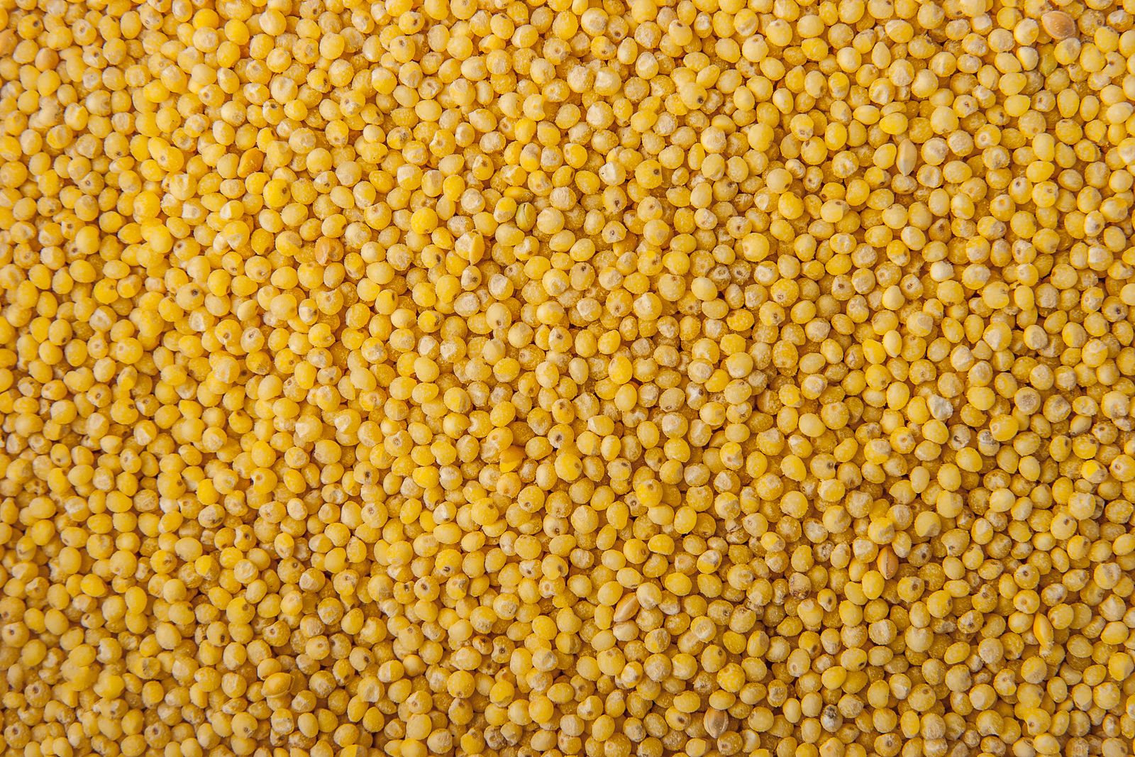 Millet hulls clearance