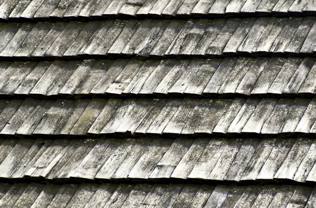 Shingle