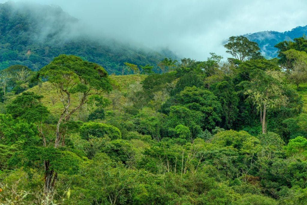 biodiversity
